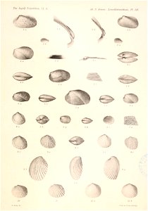 n138_w1150