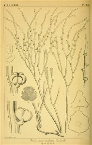 n303_w1150