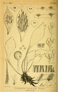 n143_w1150