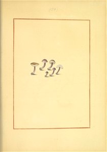 n82_w1150