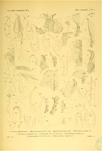 n268_w1150