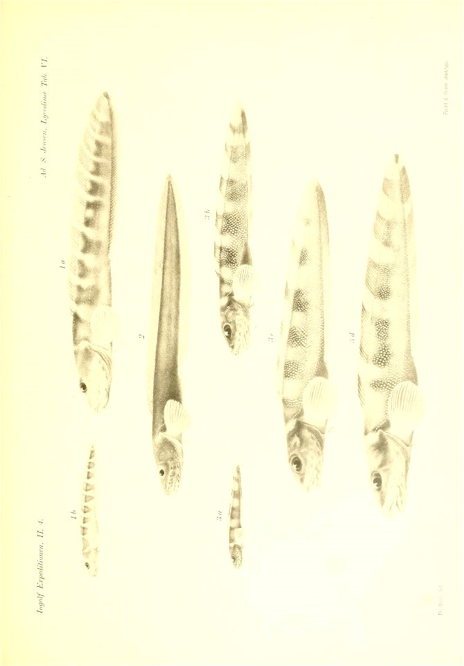 n358_w1150