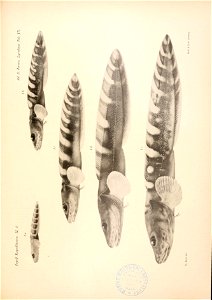 n142_w1150