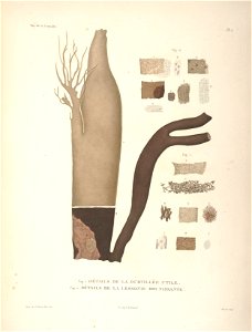 n79_w1150