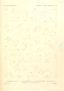 n170_w1150