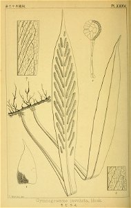 n185_w1150