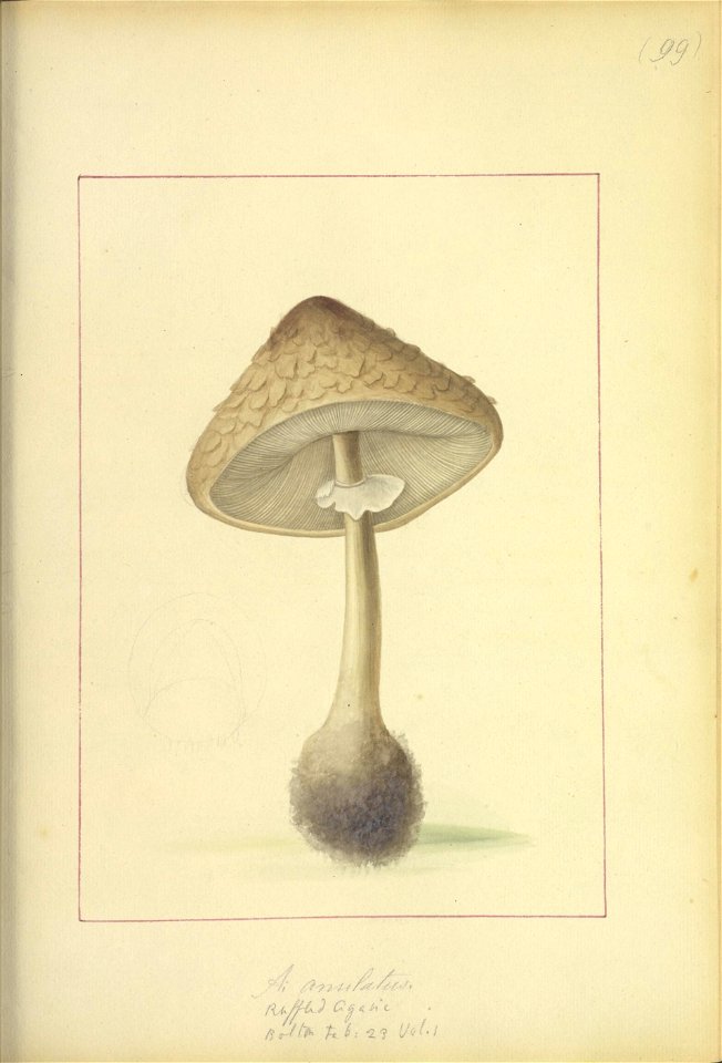 n58_w1150