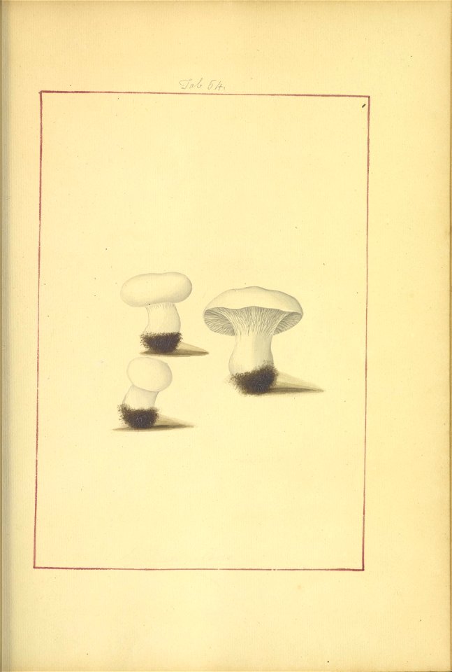 n52_w1150
