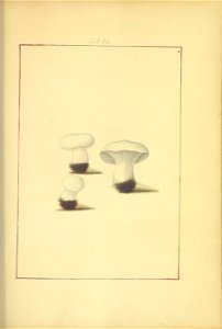 n52_w1150