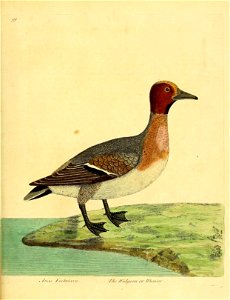 n302_w1150
