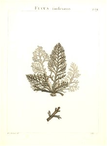 n288_w1150