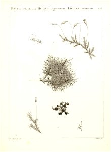 n286_w1150