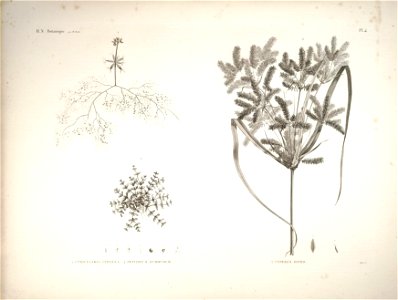 n16_w1150