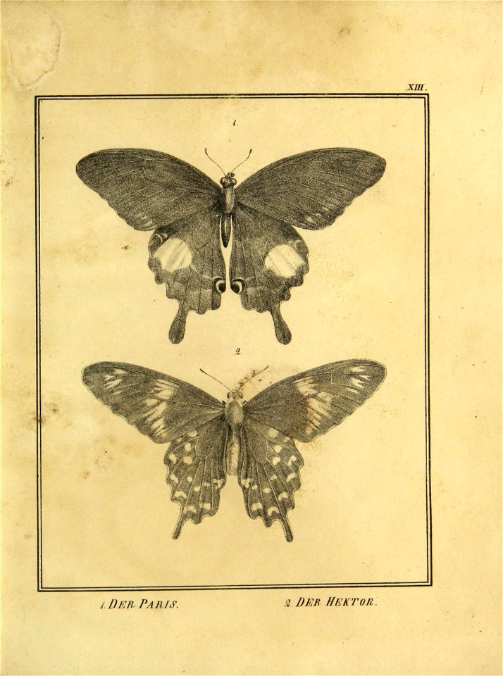 n178_w1150