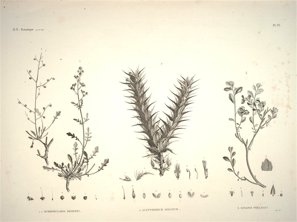 n45_w1150