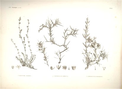 n30_w1150