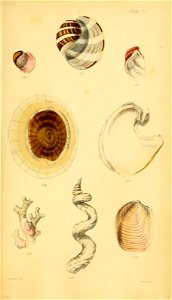 n554_w1150