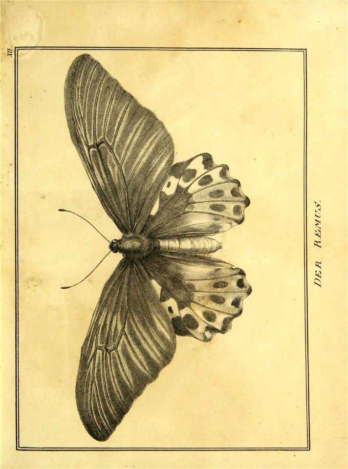 n176_w1150