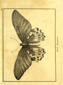 n176_w1150