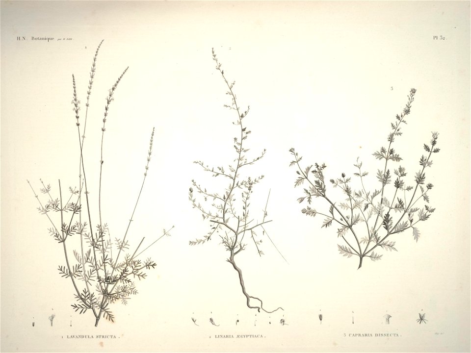 n44_w1150