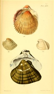 n582_w1150