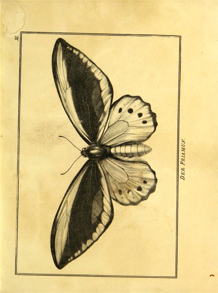 n174_w1150
