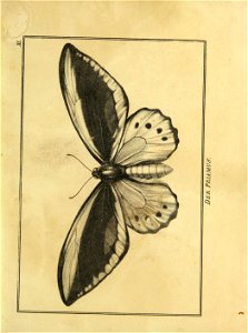 n174_w1150