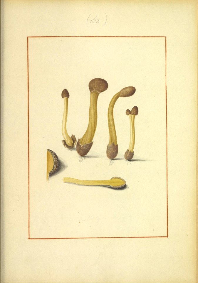 n154_w1150