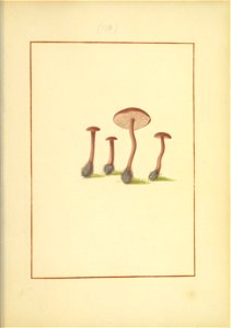 n34_w1150