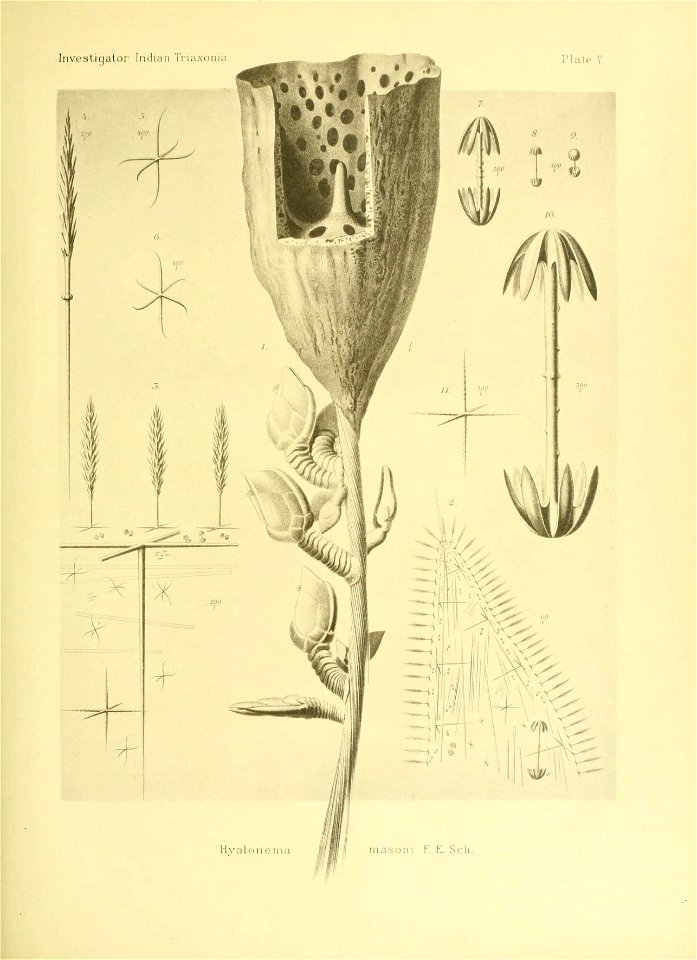 n144_w1150