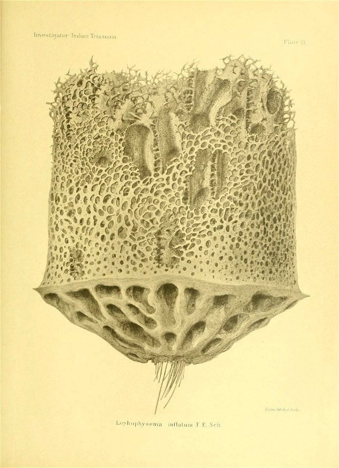 n204_w1150