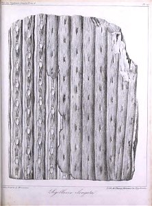 n390_w1150
