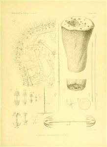 n196_w1150