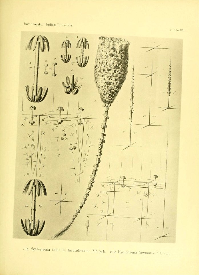n136_w1150