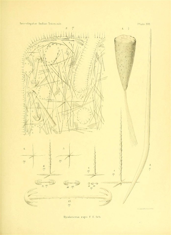 n192_w1150