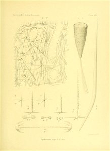 n192_w1150