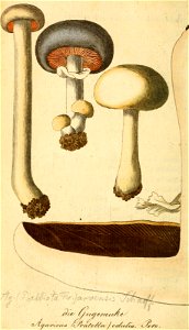 n215_w1150