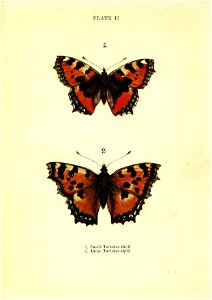 n24_w1150