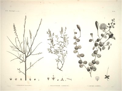 n43_w1150