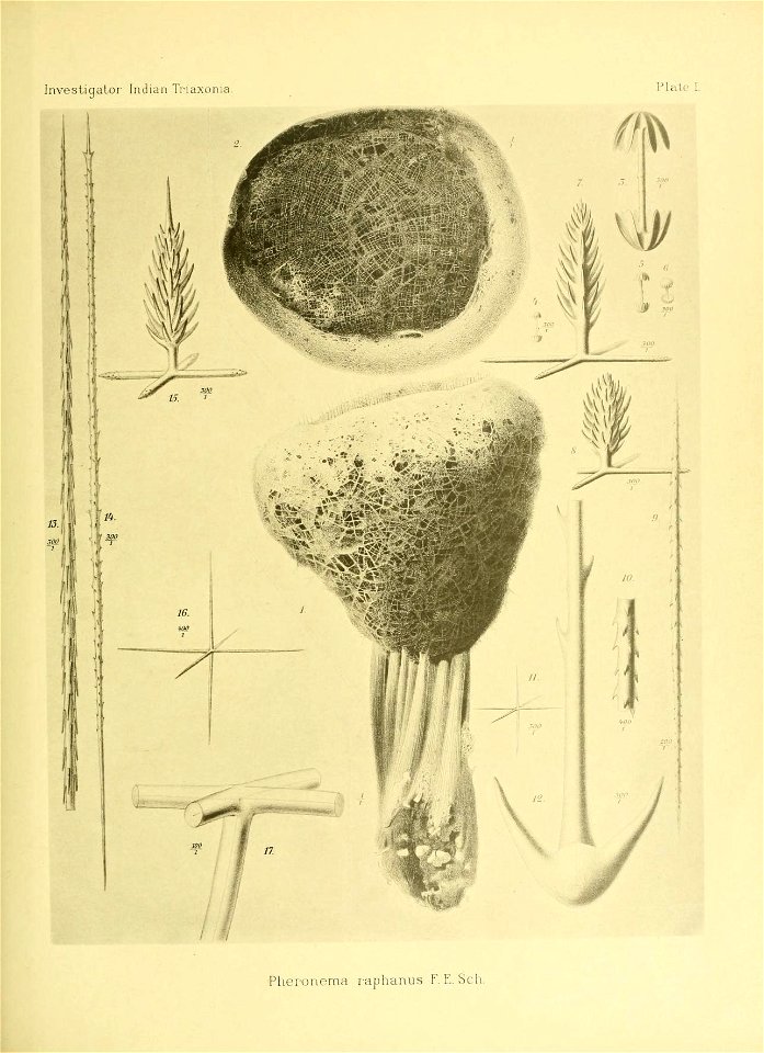 n128_w1150