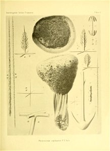 n128_w1150