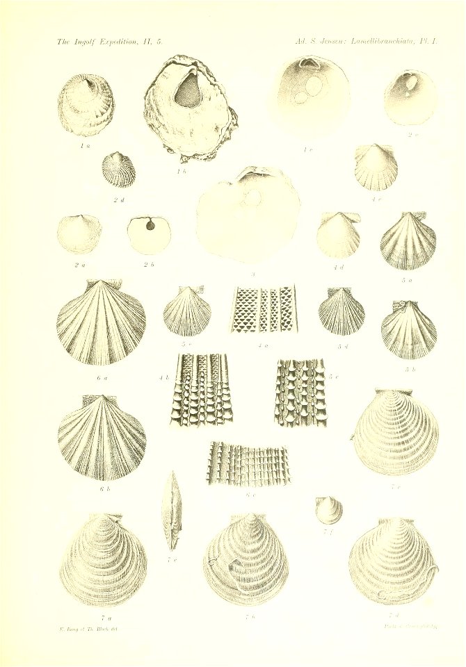 n502_w1150