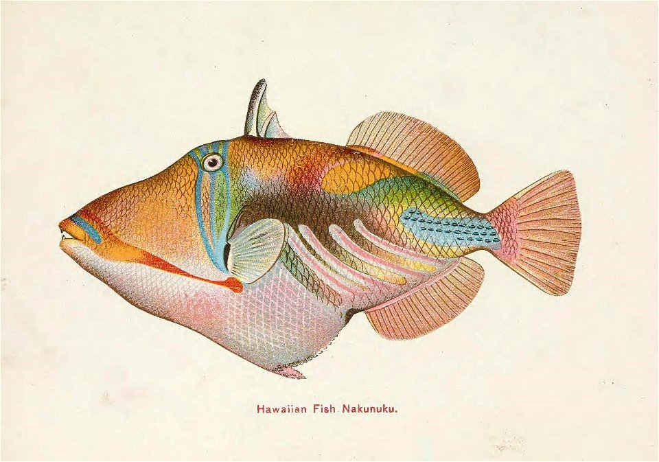 n5_w1150