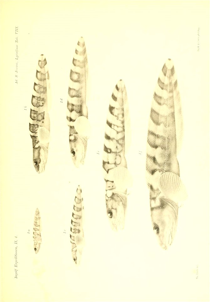 n366_w1150
