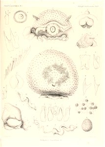 n58_w1150