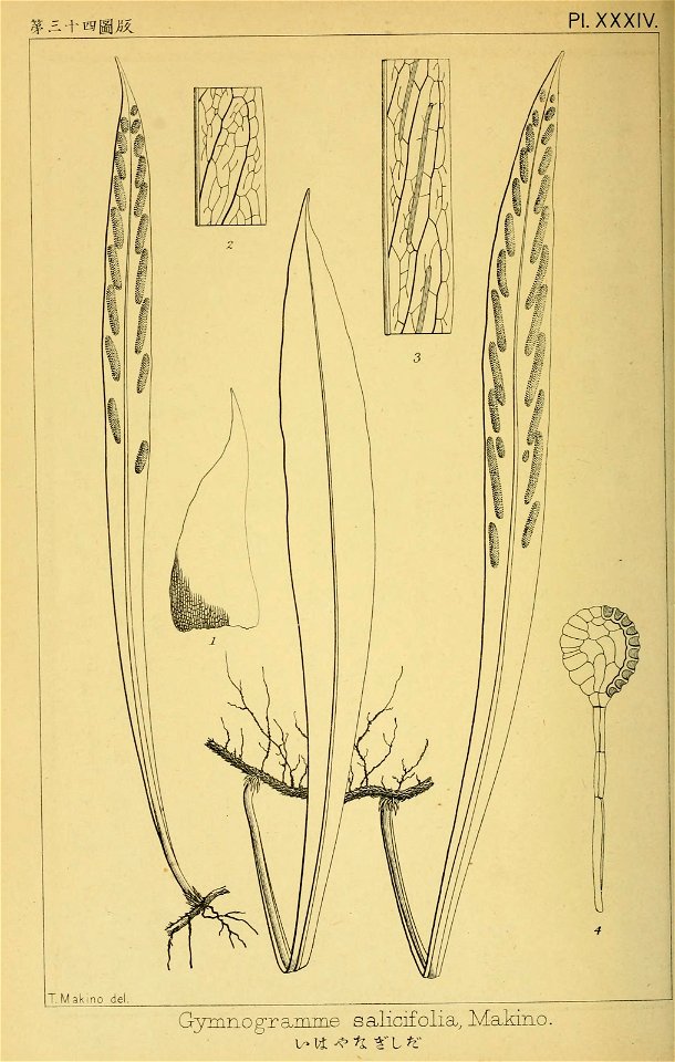 n181_w1150