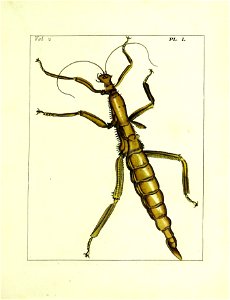 n206_w1150