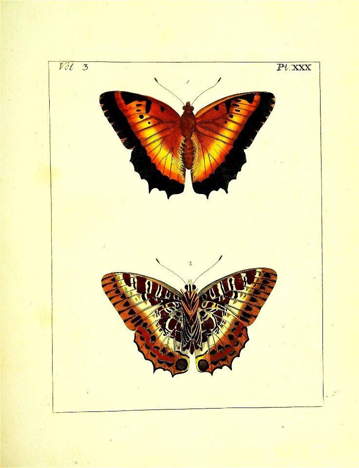n266_w1150