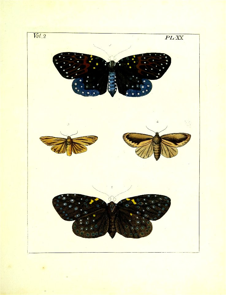 n146_w1150