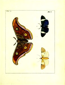 n116_w1150